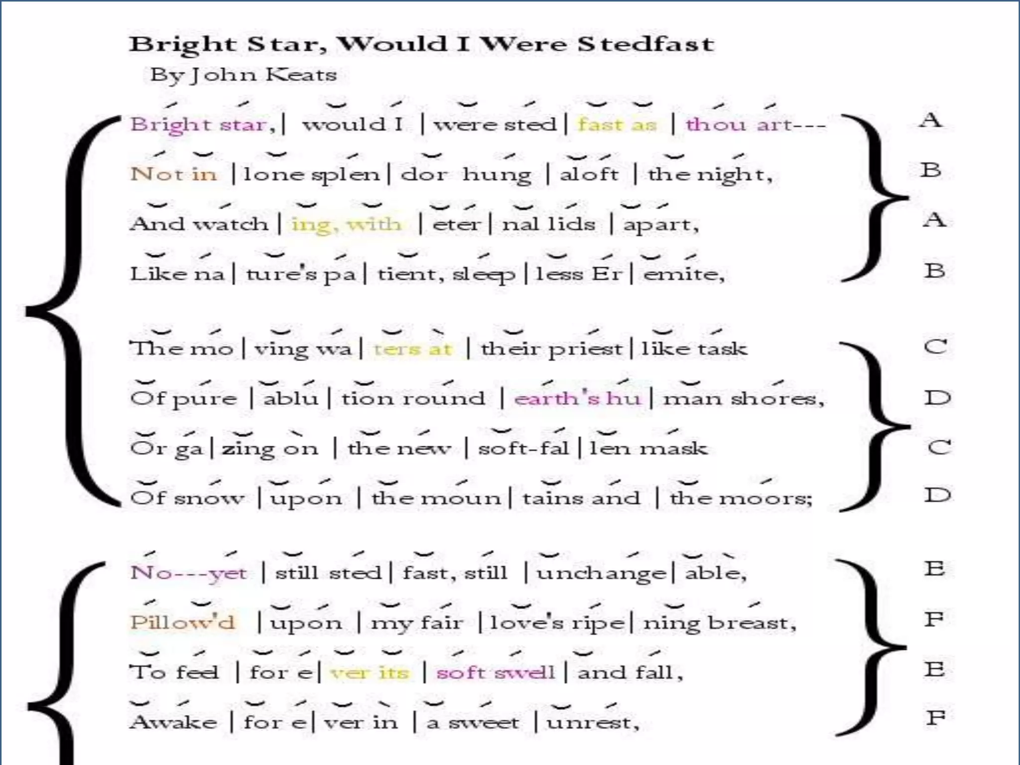 William wordsworth daffodils poem lesson plan Turkey Turkiye PPT