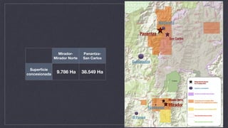 Mirador-
Mirador Norte
Panantza-
San Carlos
Superﬁcie
concesionada
9.786 Ha 38.549 Ha
El Pangui
Gualaquiza
Panantza
San Carlos
Mirador Norte
Mirador
Tundayme
Nankintz
Megaproyectos mineros
de la Tongling-CRCC
Ciudades y comunidades
Concesiones de la Tongling-CRCC
asociadas a los megaproyectos mineros
Otras concesiones de la Tongling-CRCC
Otras concesiones mineras inscritas
Otras concesiones mineras en trámite
Territorio del Pueblo Shuar Arutam
 
