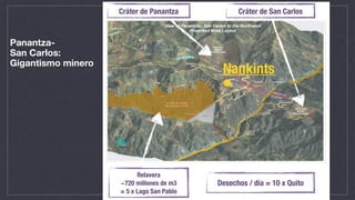 Panantza-
San Carlos:
Gigantismo minero
Following immediately below is a 3D representation of the company’s current view of the proposed Panantza – San Carlos mine
site, based upon the Preliminary Assessment Technical Report referenced above.
Other opportunities within the Corriente Copper Belt include the La Florida, San Miguel, San Luis, San Marcos and Sutzu
porphyry prospects, all of which are located within 10 to 12 kilometres of the Panantza prospect, as well as the Dolorosa
sediment-hosted copper prospect, located mid-way between the Panantza and Mirador properties.
Cráter de Panantza Cráter de San Carlos
Relavera
~720 millones de m3
= 5 x Lago San Pablo
Desechos / día = 10 x Quito
Nankints
 