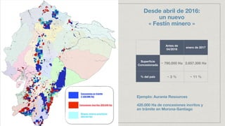 Antes de
04/2016
enero de 2017
Superﬁcie
Concesionada
~ 790.000 Ha 2.657.306 Ha
% del país ~ 3 % ~ 11 %
Desde abril de 2016:
un nuevo
« Festín minero »
Ejemplo: Aurania Resources 
420.000 Ha de concesiones incritos y
en trámite en Morona-Santiago
Concesiones en trámite
(1.828.666 Ha)
Concesiones inscritas (828.649 Ha)
Bloques mineros prioritarios
(654.043 Ha)
 