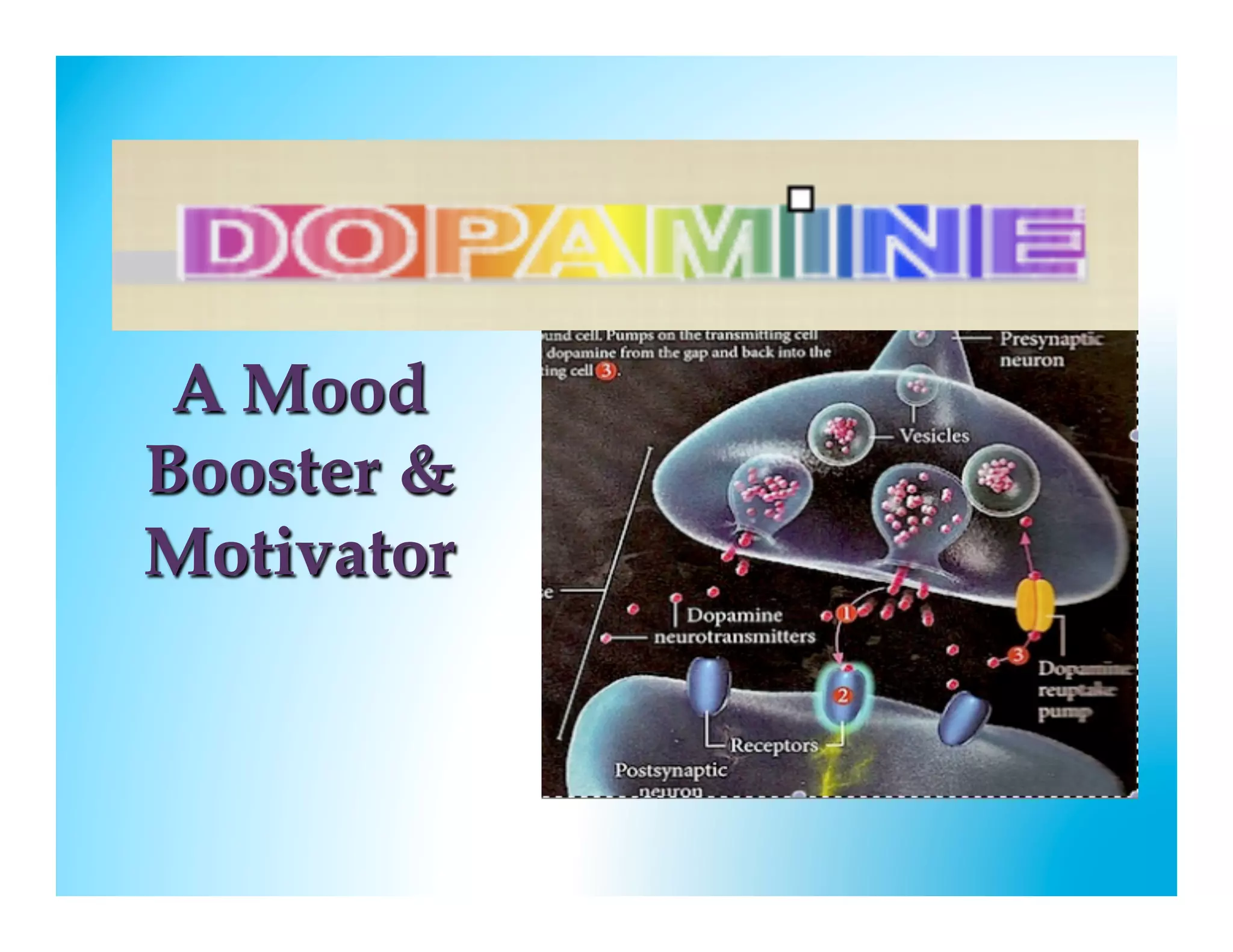 A Mood
Booster &
Motivator
            
 