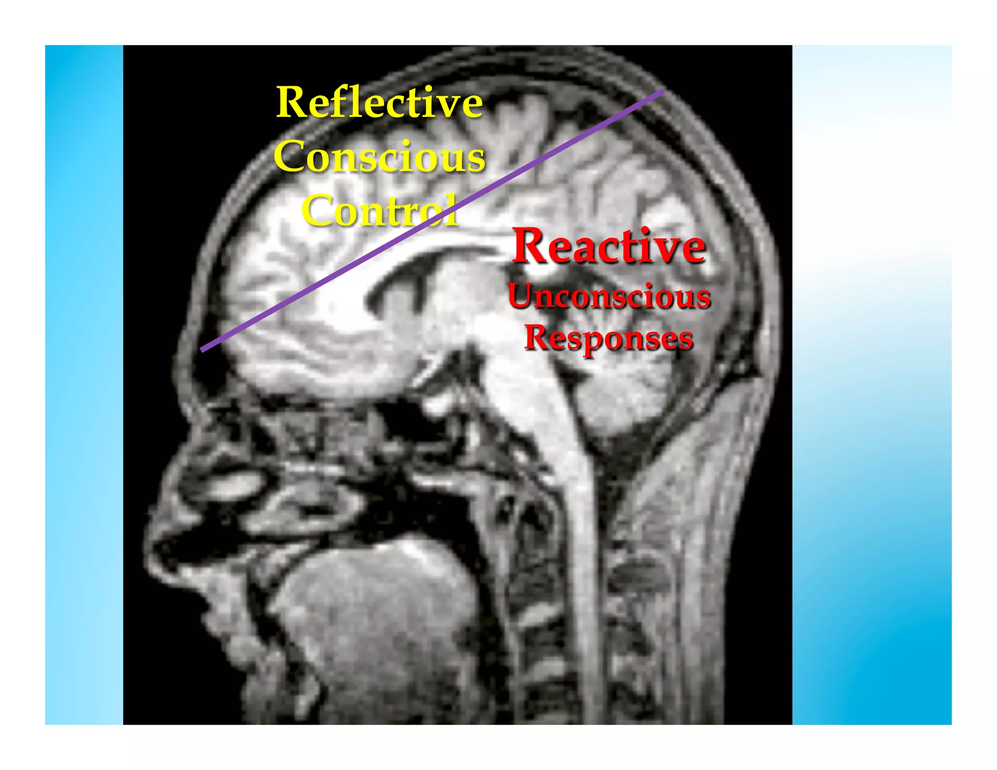Reflective
Conscious
 Control
             Reactive
             Unconscious
              Responses
 