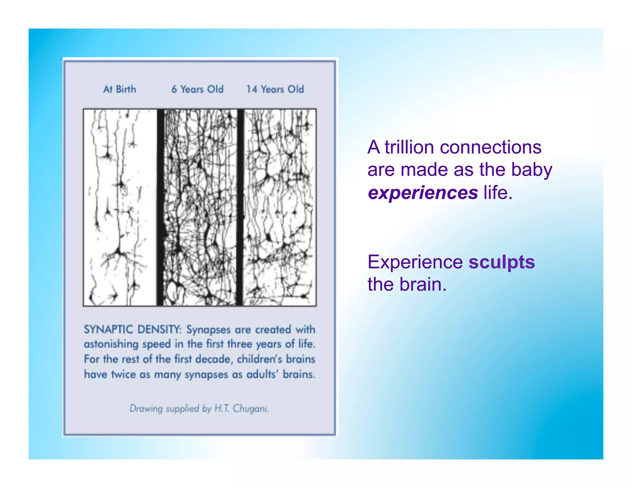 A trillion connections
are made as the baby
experiences life.


Experience sculpts
the brain.
 