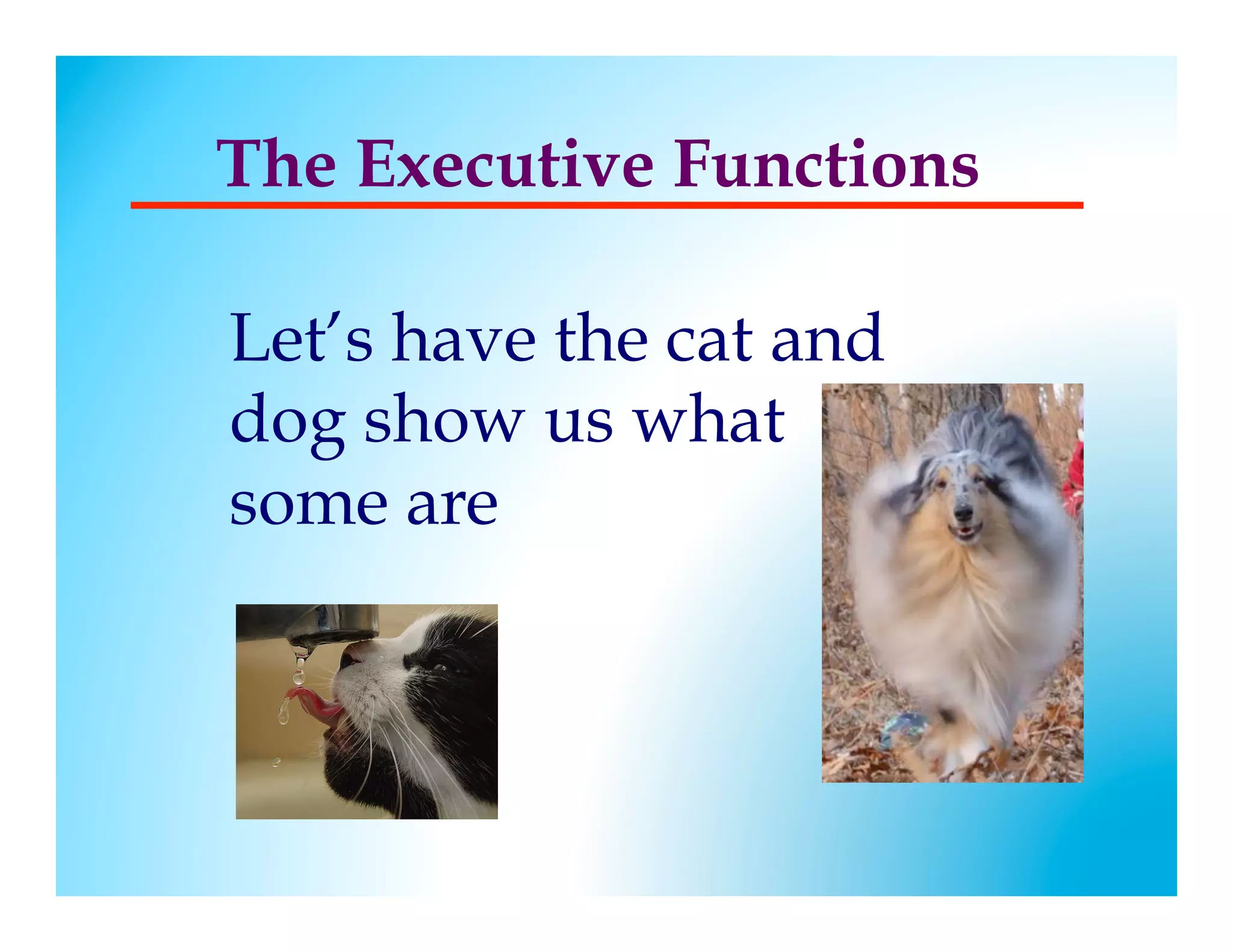 The Executive Functions

Let’s have the cat and
dog show us what
some are
 