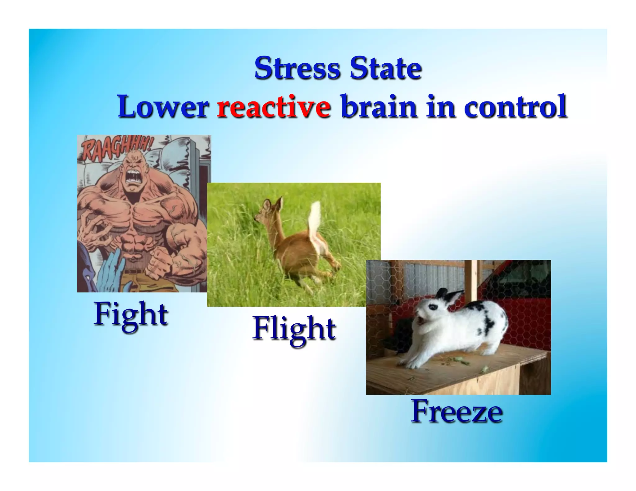 Stress State
     Lower reactive brain in control
!


    Fight



              Flight

                         Freeze
 