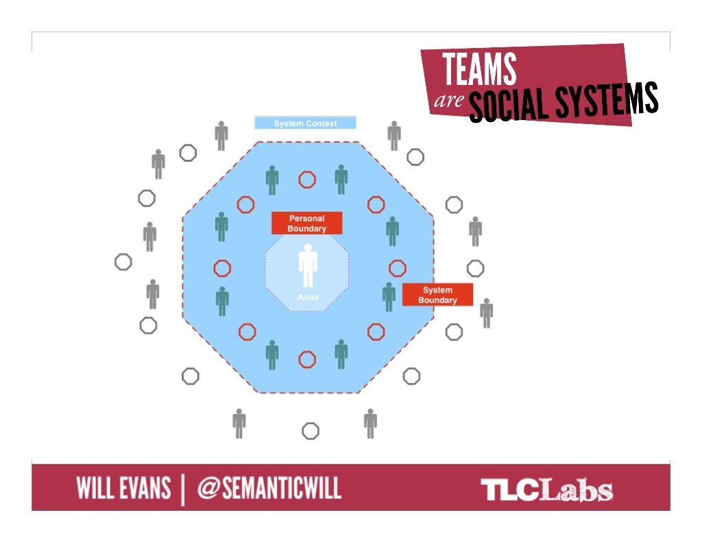 SOCIAL SYSTEMS ARE SYSTEMS OF