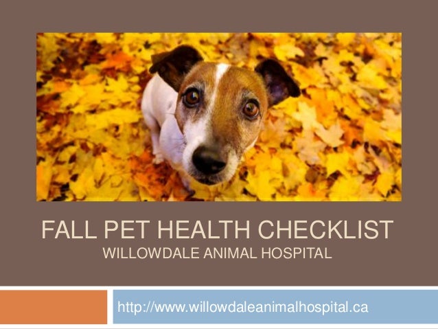 Fall Pet Health Checklist by Willowdale Animal Hospital