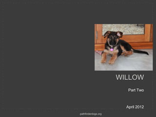 WILLOW
                        Part Two



                       April 2012
pathfinderdogs.org
 