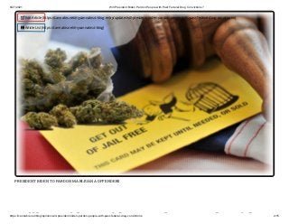 8/27/2021 Will President Biden Pardon People with Past Federal Drug Convictions?
https://cannabis.net/blog/opinion/will-president-biden-pardon-people-with-past-federal-drug-convictions 2/15
PRESIDENT BIDEN TO PARDON MARIJUANA OFFENDERS
ill id id d l i h
 Edit Article (https://cannabis.net/mycannabis/c-blog-entry/update/will-president-biden-pardon-people-with-past-federal-drug-convictions)
 Article List (https://cannabis.net/mycannabis/c-blog)
 