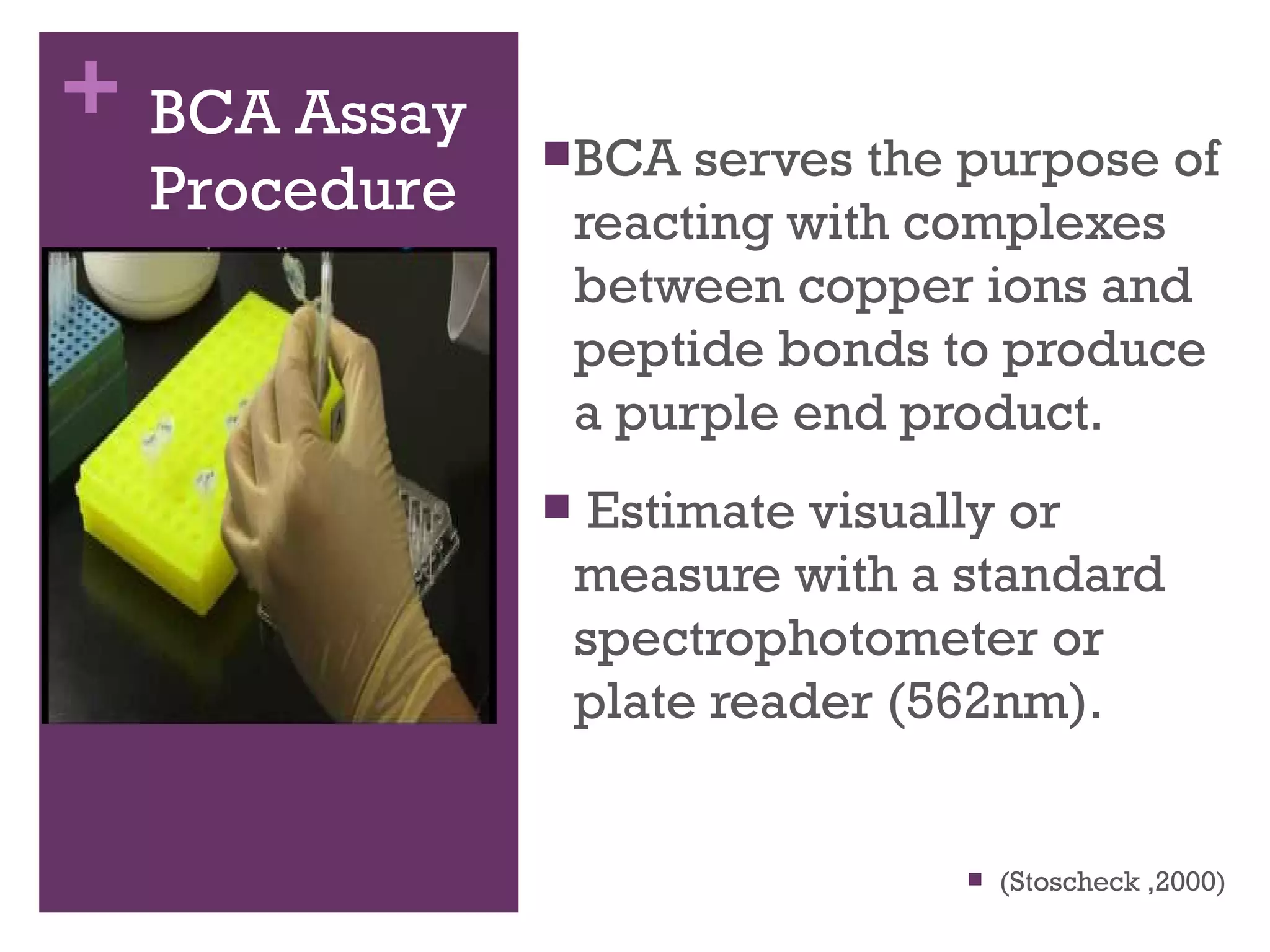 + BCA Assay
                 BCA    serves the purpose of
   Procedure        reacting with complexes
                    between copper ions and
                    peptide bonds to produce
Procedure II:       a purple end product.
BCA Assay           Estimate visually or
                    measure with a standard
                    spectrophotometer or
                    plate reader (562nm).


                                      (Stoscheck ,2000)
 