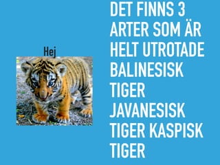 DET FINNS 3
ARTER SOM ÄR
HELT UTROTADE
BALINESISK
TIGER
JAVANESISK
TIGER KASPISK
TIGER
Hej
 