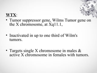 WTX:
• Tumor suppressor gene, Wilms Tumor gene on
the X chromosome, at Xq11.1,
• Inactivated in up to one third of Wilm's
tumors.
• Targets single X chromosome in males &
active X chromosome in females with tumors.
 