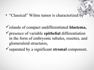 • “Classical” Wilms tumor is characterized by
islands of compact undifferentiated blastema,
presence of variable epithelial differentiation
in the form of embryonic tubules, rosettes, and
glomeruloid structures,
separated by a significant stromal component.
 