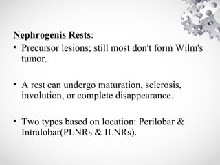 Nephrogenis Rests:
• Precursor lesions; still most don't form Wilm's
tumor.
• A rest can undergo maturation, sclerosis,
involution, or complete disappearance.
• Two types based on location: Perilobar &
Intralobar(PLNRs & ILNRs).
 