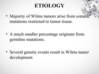 ETIOLOGY
• Majority of Wilms tumors arise from somatic
mutations restricted to tumor tissue.
• A much smaller percentage originate from
germline mutations.
• Several genetic events result in Wilms tumor
development.
 
