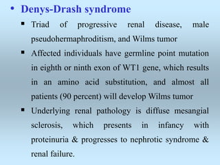 • Denys-Drash syndrome
 Triad of progressive renal disease, male
pseudohermaphroditism, and Wilms tumor
 Affected individuals have germline point mutation
in eighth or ninth exon of WT1 gene, which results
in an amino acid substitution, and almost all
patients (90 percent) will develop Wilms tumor
 Underlying renal pathology is diffuse mesangial
sclerosis, which presents in infancy with
proteinuria & progresses to nephrotic syndrome &
renal failure.
 