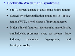 • Beckwith-Wiedemann syndrome
 5 to 10 percent chance of developing Wilms tumors
 Caused by microduplication mutations in 11p15.5
region (WT2), site of cluster of imprinting genes
 Major clinical features: macrosomia, macroglossia,
omphalocele, prominent eyes, ear creases, large
kidneys, pancreatic hyperplasia, and
hemihypertrophy.
 