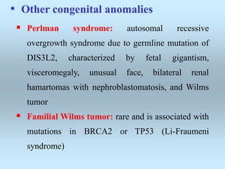 • Other congenital anomalies
 Perlman syndrome: autosomal recessive
overgrowth syndrome due to germline mutation of
DIS3L2, characterized by fetal gigantism,
visceromegaly, unusual face, bilateral renal
hamartomas with nephroblastomatosis, and Wilms
tumor
 Familial Wilms tumor: rare and is associated with
mutations in BRCA2 or TP53 (Li-Fraumeni
syndrome)
 