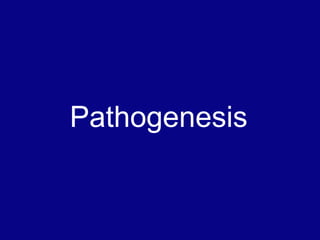Pathogenesis
 