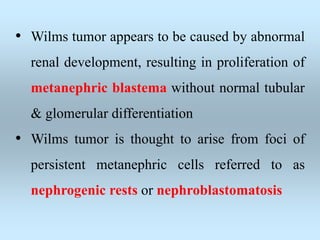 • Wilms tumor appears to be caused by abnormal
renal development, resulting in proliferation of
metanephric blastema without normal tubular
& glomerular differentiation
• Wilms tumor is thought to arise from foci of
persistent metanephric cells referred to as
nephrogenic rests or nephroblastomatosis
 