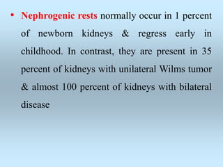 • Nephrogenic rests normally occur in 1 percent
of newborn kidneys & regress early in
childhood. In contrast, they are present in 35
percent of kidneys with unilateral Wilms tumor
& almost 100 percent of kidneys with bilateral
disease
 