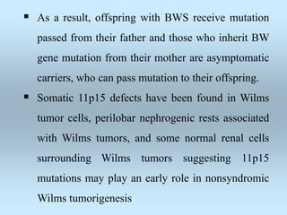  As a result, offspring with BWS receive mutation
passed from their father and those who inherit BW
gene mutation from their mother are asymptomatic
carriers, who can pass mutation to their offspring.
 Somatic 11p15 defects have been found in Wilms
tumor cells, perilobar nephrogenic rests associated
with Wilms tumors, and some normal renal cells
surrounding Wilms tumors suggesting 11p15
mutations may play an early role in nonsyndromic
Wilms tumorigenesis
 