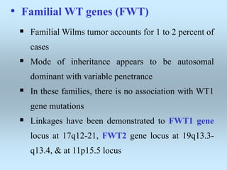 • Familial WT genes (FWT)
 Familial Wilms tumor accounts for 1 to 2 percent of
cases
 Mode of inheritance appears to be autosomal
dominant with variable penetrance
 In these families, there is no association with WT1
gene mutations
 Linkages have been demonstrated to FWT1 gene
locus at 17q12-21, FWT2 gene locus at 19q13.3-
q13.4, & at 11p15.5 locus
 