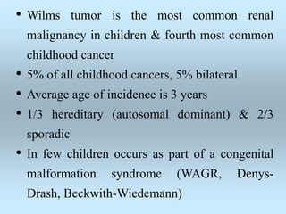 • Wilms tumor is the most common renal
malignancy in children & fourth most common
childhood cancer
• 5% of all childhood cancers, 5% bilateral
• Average age of incidence is 3 years
• 1/3 hereditary (autosomal dominant) & 2/3
sporadic
• In few children occurs as part of a congenital
malformation syndrome (WAGR, Denys-
Drash, Beckwith-Wiedemann)
 