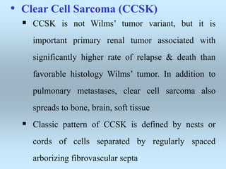 • Clear Cell Sarcoma (CCSK)
 CCSK is not Wilms’ tumor variant, but it is
important primary renal tumor associated with
significantly higher rate of relapse & death than
favorable histology Wilms’ tumor. In addition to
pulmonary metastases, clear cell sarcoma also
spreads to bone, brain, soft tissue
 Classic pattern of CCSK is defined by nests or
cords of cells separated by regularly spaced
arborizing fibrovascular septa
 
