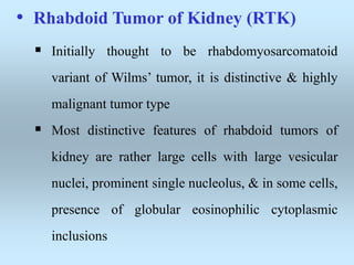 • Rhabdoid Tumor of Kidney (RTK)
 Initially thought to be rhabdomyosarcomatoid
variant of Wilms’ tumor, it is distinctive & highly
malignant tumor type
 Most distinctive features of rhabdoid tumors of
kidney are rather large cells with large vesicular
nuclei, prominent single nucleolus, & in some cells,
presence of globular eosinophilic cytoplasmic
inclusions
 