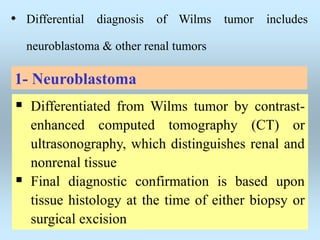 • Differential diagnosis of Wilms tumor includes
neuroblastoma & other renal tumors
1- Neuroblastoma
 Differentiated from Wilms tumor by contrast-
enhanced computed tomography (CT) or
ultrasonography, which distinguishes renal and
nonrenal tissue
 Final diagnostic confirmation is based upon
tissue histology at the time of either biopsy or
surgical excision
 