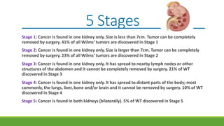 5 Stages
Stage 1: Cancer is found in one kidney only. Size is less than 7cm. Tumor can be completely
removed by surgery. 41% of all Wilms’ tumors are discovered in Stage 1
Stage 2: Cancer is found in one kidney only. Size is larger than 7cm. Tumor can be completely
removed by surgery. 23% of all Wilms’ tumors are discovered in Stage 2
Stage 3: Cancer is found in one kidney only. It has spread to nearby lymph nodes or other
structures of the abdomen and it cannot be completely removed by surgery. 21% of WT
discovered in Stage 3
Stage 4: Cancer is found in one kidney only. It has spread to distant parts of the body; most
commonly, the lungs, liver, bone and/or brain and it cannot be removed by surgery. 10% of WT
discovered in Stage 4
Stage 5: Cancer is found in both kidneys (bilaterally). 5% of WT discovered in Stage 5
 