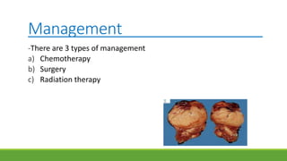 Management
-There are 3 types of management
a) Chemotherapy
b) Surgery
c) Radiation therapy
 