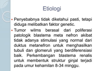 Etiologi
 Penyebabnya tidak diketahui pasti, tetapi
diduga melibatkan faktor genetic.
 Tumor wilms berasal dari poliferasi
patologik blastema meta nefron akibat
tidak adanya stimulasi yang normal dari
duktus metanefron untuk menghasilkan
tubuli dan glomeruli yang berdiferensiasi
baik. Perkembangan blastema renalis
untuk membentuk struktur ginjal terjadi
pada umur kehamilan 8-34 minggu.
 