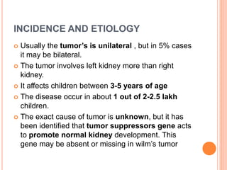 INCIDENCE AND ETIOLOGY
 Usually the tumor’s is unilateral , but in 5% cases
it may be bilateral.
 The tumor involves left kidney more than right
kidney.
 It affects children between 3-5 years of age
 The disease occur in about 1 out of 2-2.5 lakh
children.
 The exact cause of tumor is unknown, but it has
been identified that tumor suppressors gene acts
to promote normal kidney development. This
gene may be absent or missing in wilm’s tumor
 