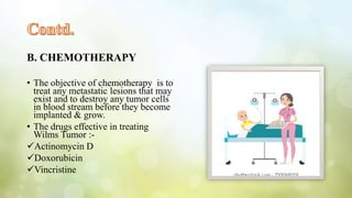 B. CHEMOTHERAPY
• The objective of chemotherapy is to
treat any metastatic lesions that may
exist and to destroy any tumor cells
in blood stream before they become
implanted & grow.
• The drugs effective in treating
Wilms Tumor :-
Actinomycin D
Doxorubicin
Vincristine
 