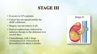 STAGE III
• It occurs in 23% patients.
• Cancer has not spread outside the
child’s abdomen.
• Surgery can not remove it all.
• Radical nephrectomy followed by
radiation therapy to the abdomen over
several days.
• Chemotherapy with 3 drugs
(Actinomycin D ,Vincristine &
doxorubicin) for about 6 months.
 