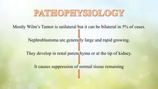 Mostly Wilm’s Tumor is unilateral but it can be bilateral in 5% of cases.
Nephroblastoma are generally large and rapid growing.
They develop in renal parenchyma or at the tip of kidney.
It causes suppression of normal tissue remaining
 