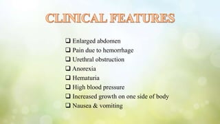  Enlarged abdomen
 Pain due to hemorrhage
 Urethral obstruction
 Anorexia
 Hematuria
 High blood pressure
 Increased growth on one side of body
 Nausea & vomiting
 