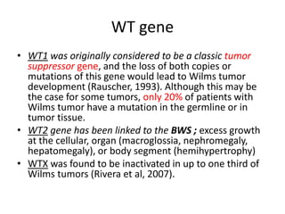 Wilms tumor and neuroblastoma | PPTX