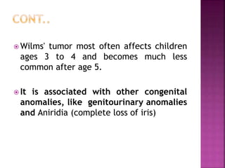 wilms tumor ppt.pptx ppt tumor wilms tumor | PPTX