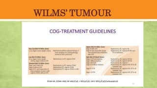 WILMS’ TUMOUR
 