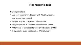 WILMS TUMOUR - nephroblastoma, kidney tumour | PPTX