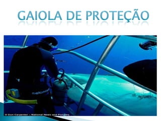 Vestimenta de mergulho