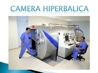 Vestimenta de mergulho