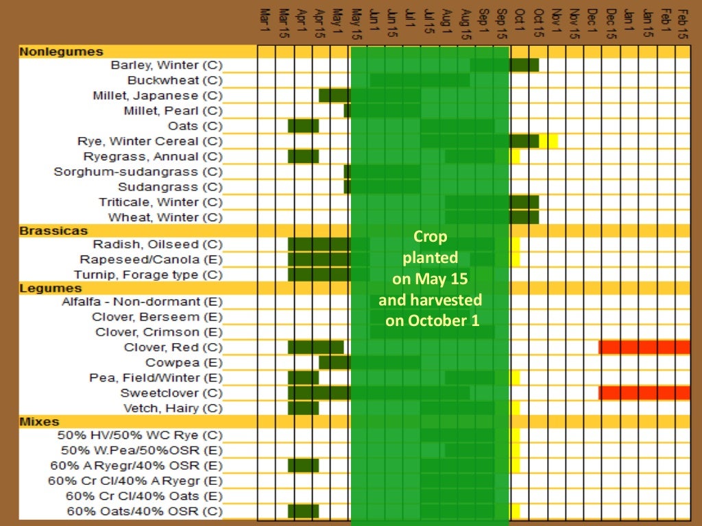 Cover crops for corn/soybean rotations