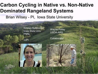 Carbon Cycling in Native vs. Non-Native
Dominated Rangeland Systems
Brian Wilsey - PI, Iowa State University
 