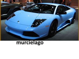 murcielago
 