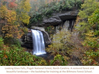 Looking Glass Falls, Pisgah National Forest, North Carolina. A restored forest and
beautiful landscape – the backdrop for training at the Biltmore Forest School.
 