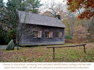 Classes in silviculture, surveying, tree and plant identification, zoology and law took
place here from 1898 – all still core subjects in a professional forestry education.
 